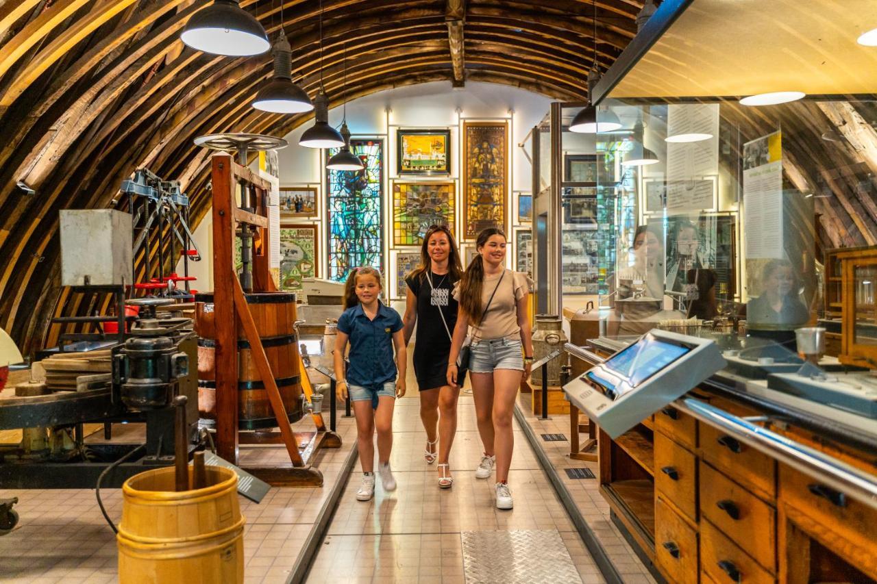 Europarcs De Woudhoeve Egmond aan den Hoef Dış mekan fotoğraf