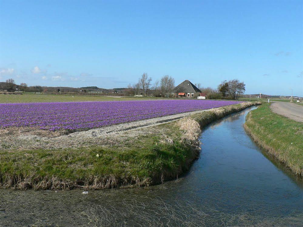 Europarcs De Woudhoeve Egmond aan den Hoef Dış mekan fotoğraf